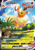 Flareon VMAX (CN) — Miscellaneous Cards & Products — 003/009 — Holofoil